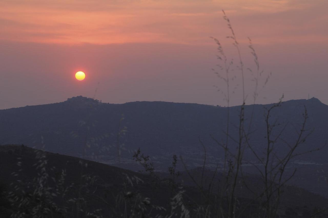 Vacancorse Maison U Canale Speloncato  Bagian luar foto